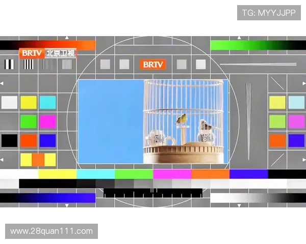 北京卫视青年频道高清直播在线观看 北京卫视青年频道高清直播在线观看